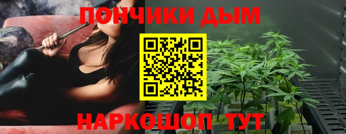Конопля Ganja Усть-Джегута